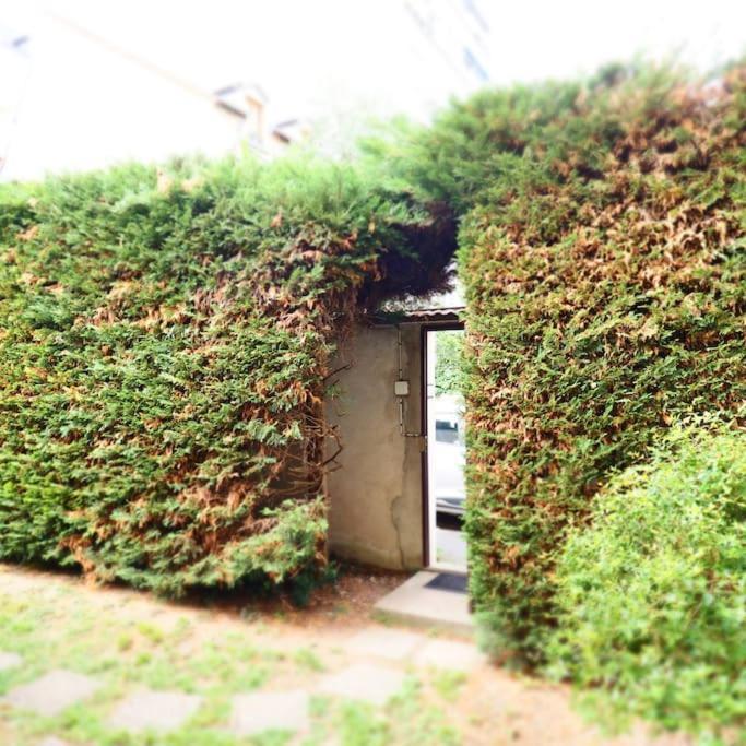 Maison Faure - Centre Ville - Jardin - Garage Vichy Bagian luar foto